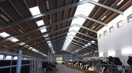 Szkodliwy i kosztowny hałas BIZNES, Gospodarka - Powszechnym problemem przy hodowli zwierząt jest kwestia nadmiernego hałasu, który jest przyczyną wielu chorób związanych z wywoływaniem stresu u chowu.