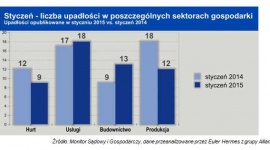 W styczniu sądy opublikowały informacje o upadłości 61 polskich przedsiębiorstw
