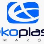 Polskie okna podbijają Francję