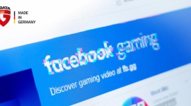 Free to Play: Facebook ma obowiązek opublikować wewnętrzne dokumenty