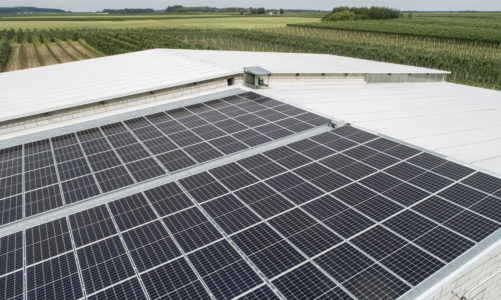 Energetyka słoneczna stała się opłacalnym biznesem. W tym roku obroty branży mają wzrosnąć o 25 proc.