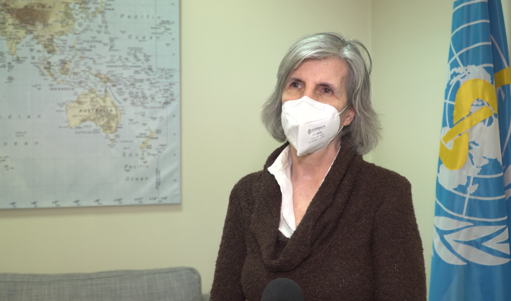 WHO w Polsce: Polski system zdrowotny poradzi sobie z napływem uchodźców. Mogą się jednak pogłębić dotychczasowe problemy